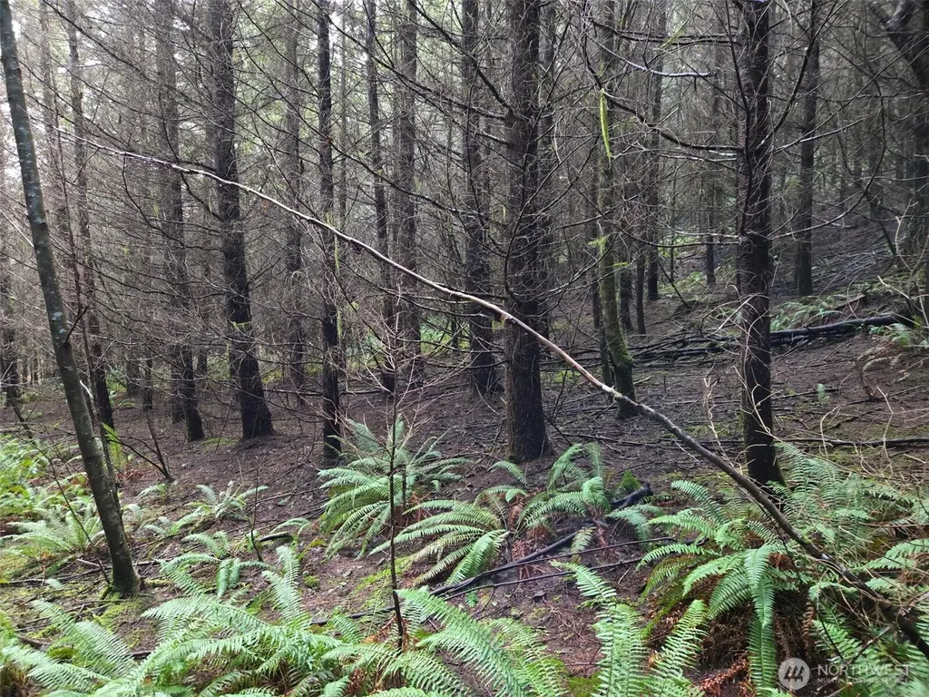 0 Workman Creek Road Elma WA 98541