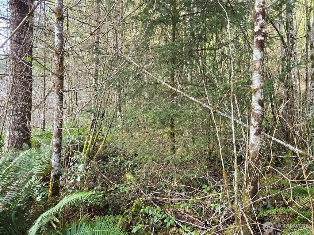 0 Workman Creek Road Elma WA 98541