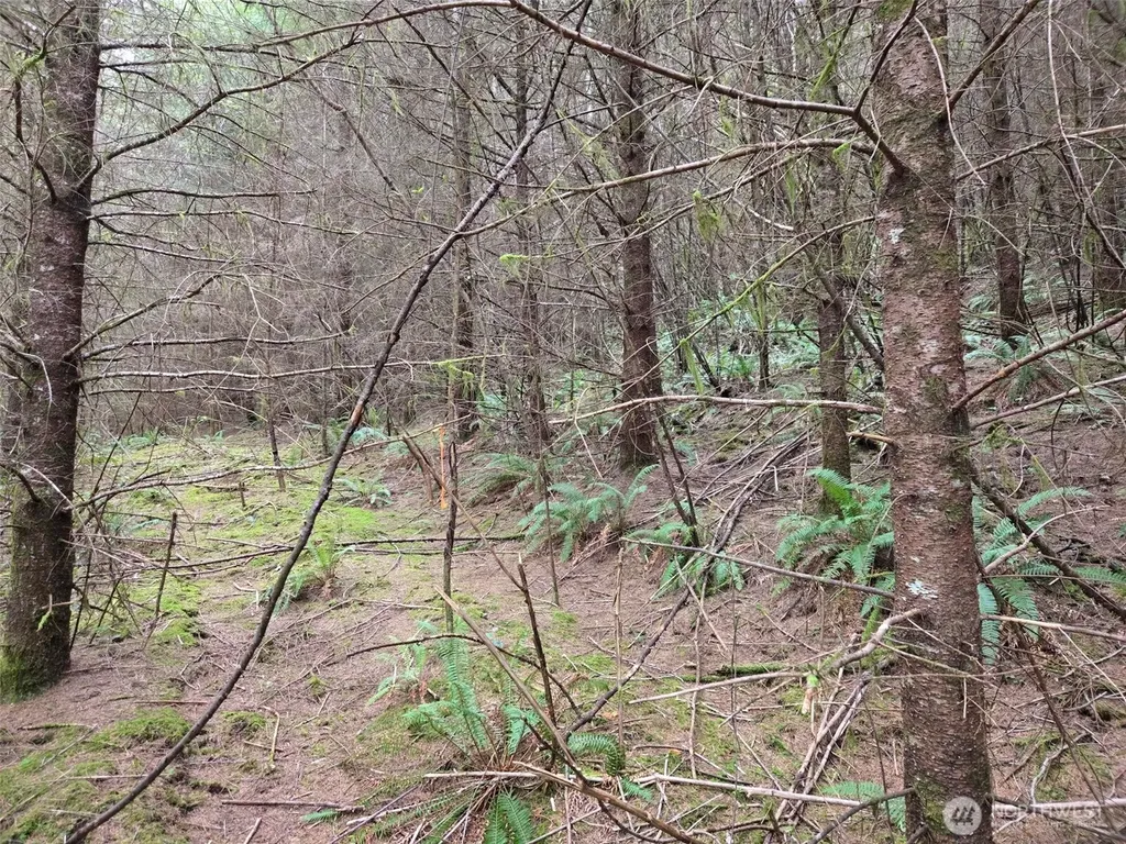 0 Workman Creek Road Elma WA 98541