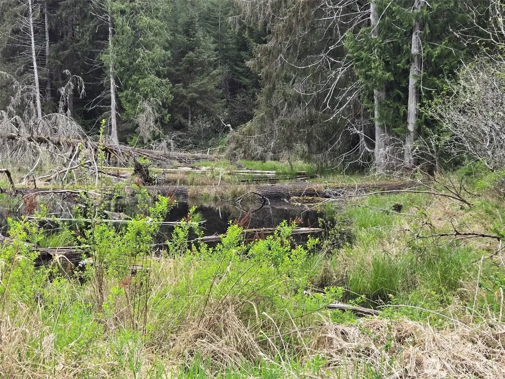 0 Workman Creek Road Elma WA 98541