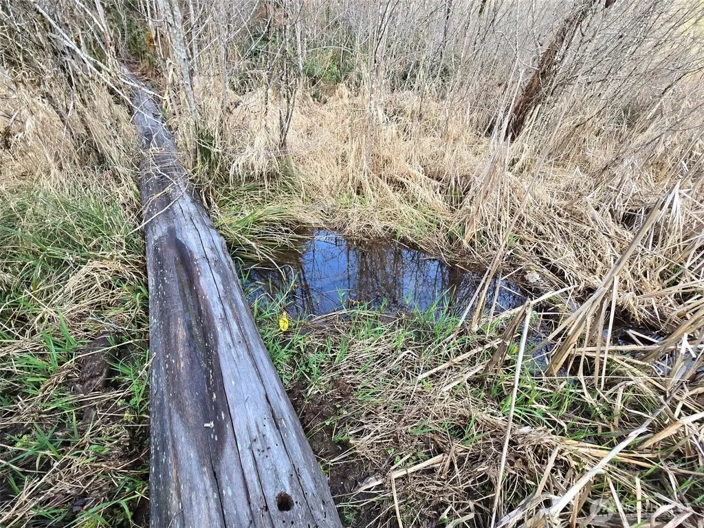 0 Workman Creek Road Elma WA 98541