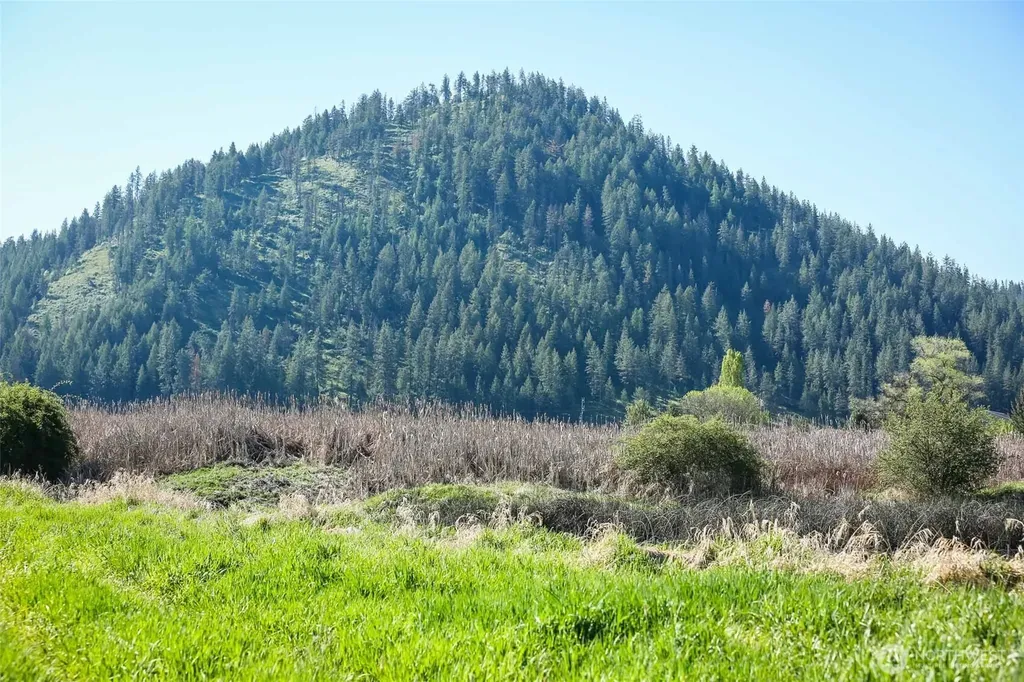 27 Newton Road Chewelah WA 99109