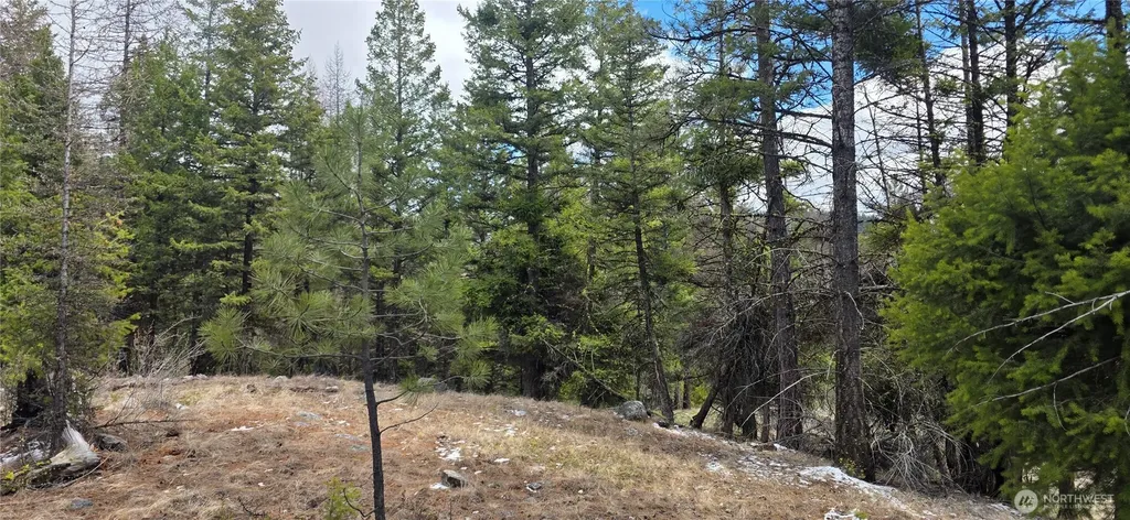 1111 Tbd Bandtman Road Tonasket WA 98844