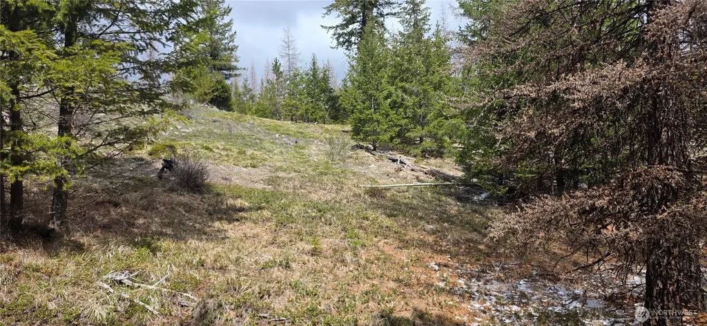 1111 Tbd Bandtman Road Tonasket WA 98844
