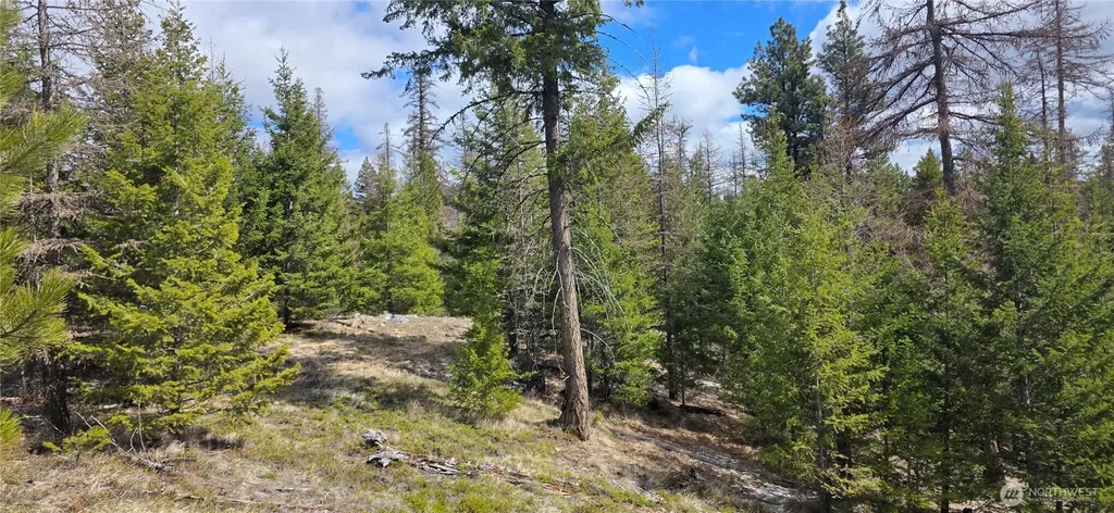 1111 Tbd Bandtman Road Tonasket WA 98844