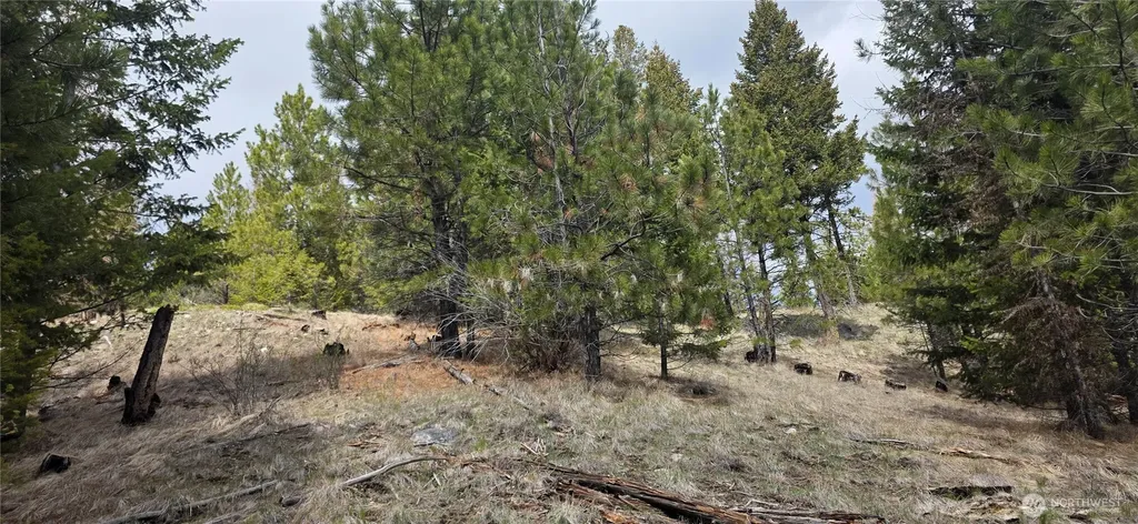 1111 Tbd Bandtman Road Tonasket WA 98844