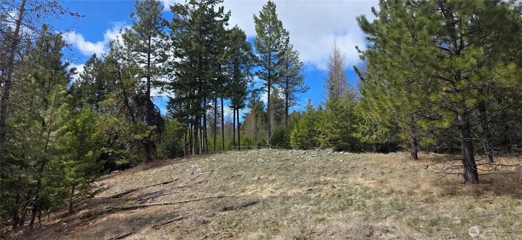 1111 Tbd Bandtman Road Tonasket WA 98844