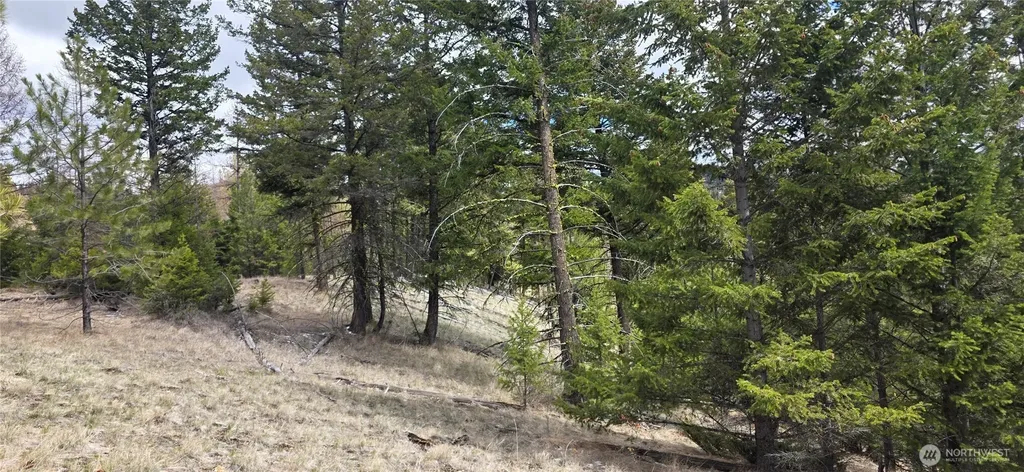1111 Tbd Bandtman Road Tonasket WA 98844