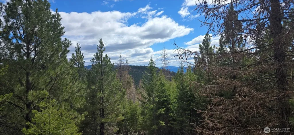 1111 Tbd Bandtman Road Tonasket WA 98844