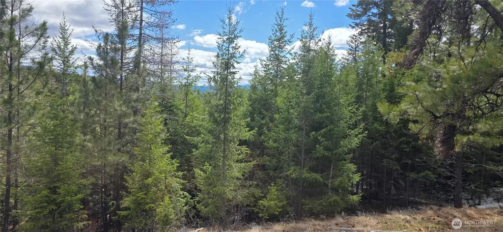 1111 Tbd Bandtman Road Tonasket WA 98844