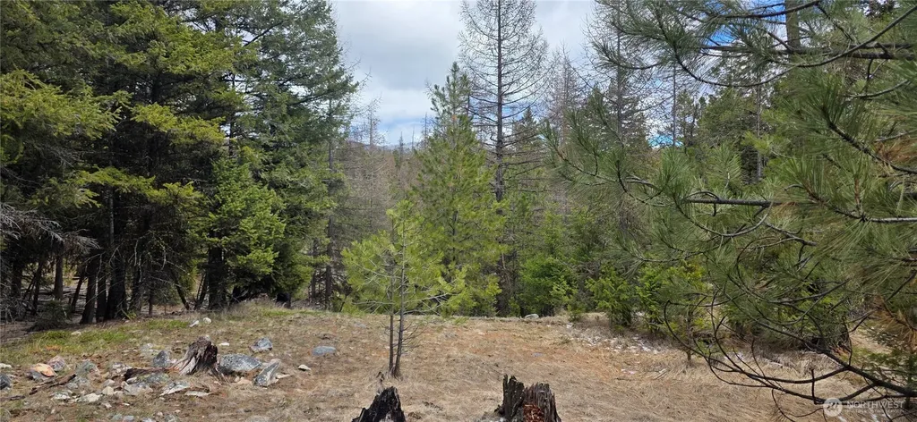 1111 Tbd Bandtman Road Tonasket WA 98844