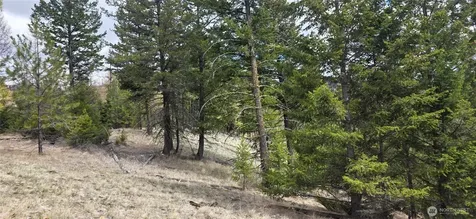 1111 Tbd Bandtman Road Tonasket WA 98844