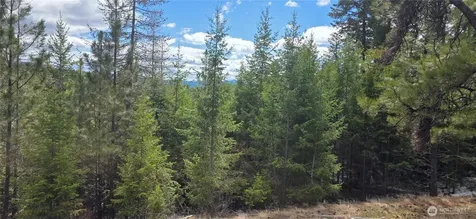 1111 Tbd Bandtman Road Tonasket WA 98844