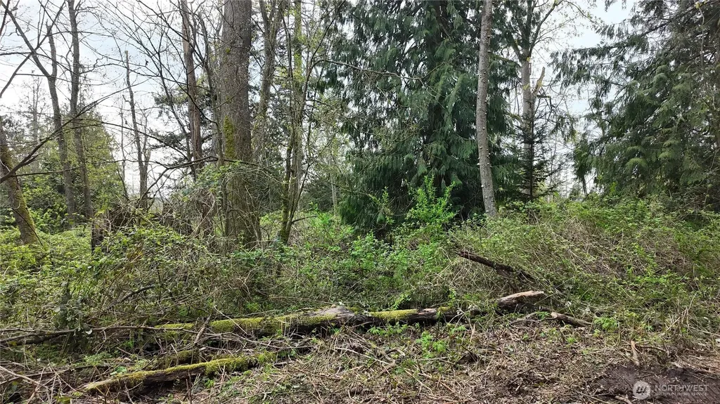 17584 Allen Road Bow WA 98232