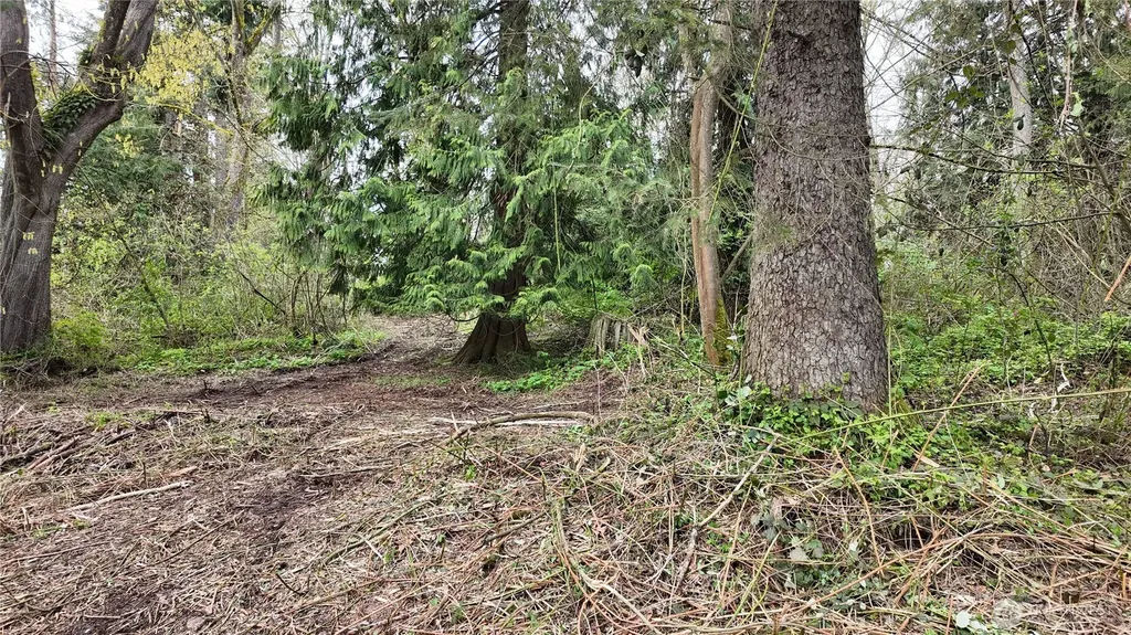 17584 Allen Road Bow WA 98232