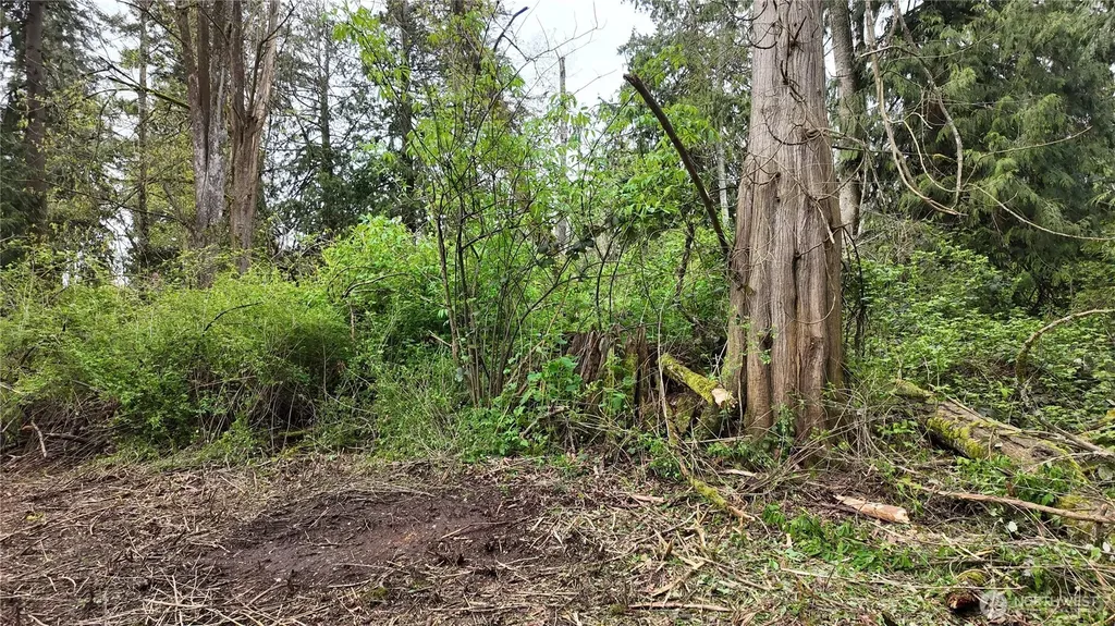 17584 Allen Road Bow WA 98232
