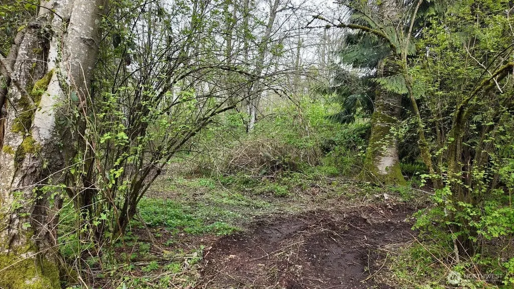 17584 Allen Road Bow WA 98232