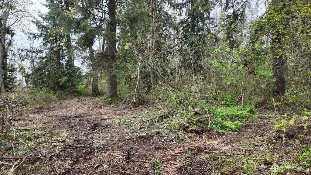 17584 Allen Road Bow WA 98232