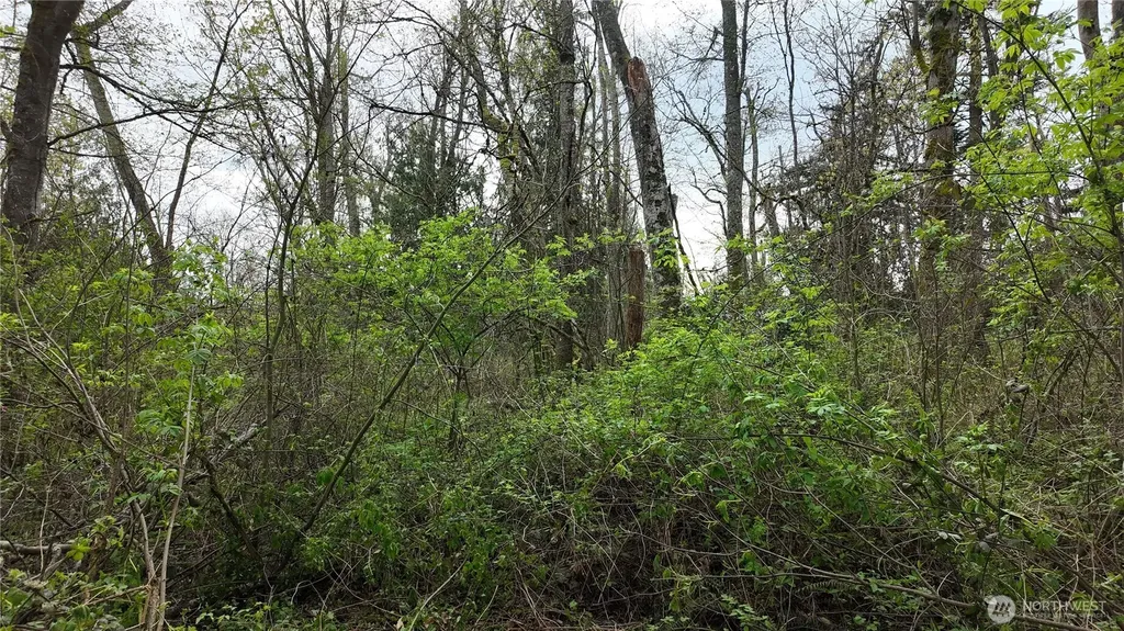 17584 Allen Road Bow WA 98232