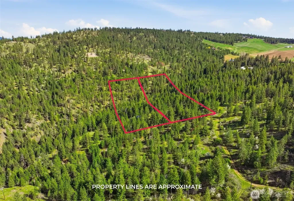0 N Abigail Lane Nine Mile Falls WA 99208