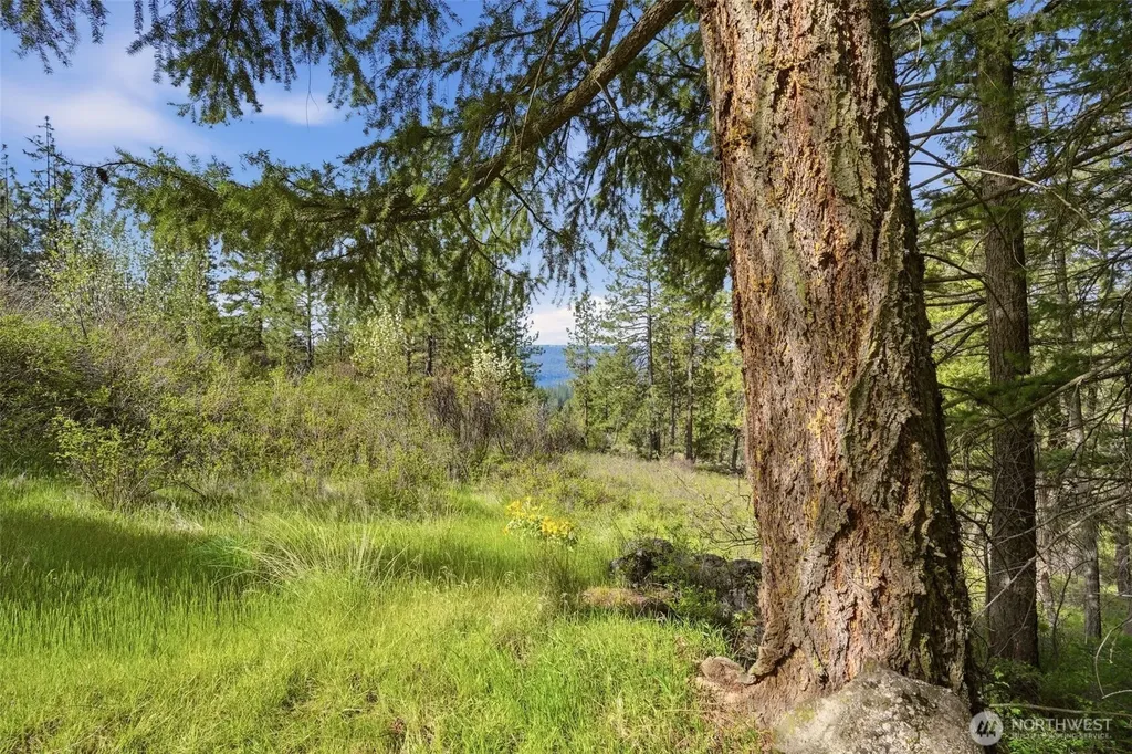 0 N Abigail Lane Spokane WA 99208