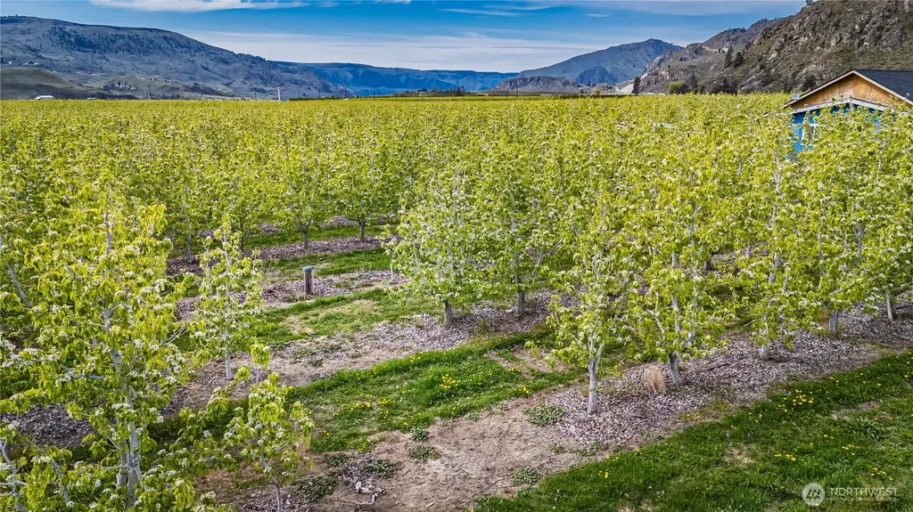 58 Substation Road Chelan WA 98816