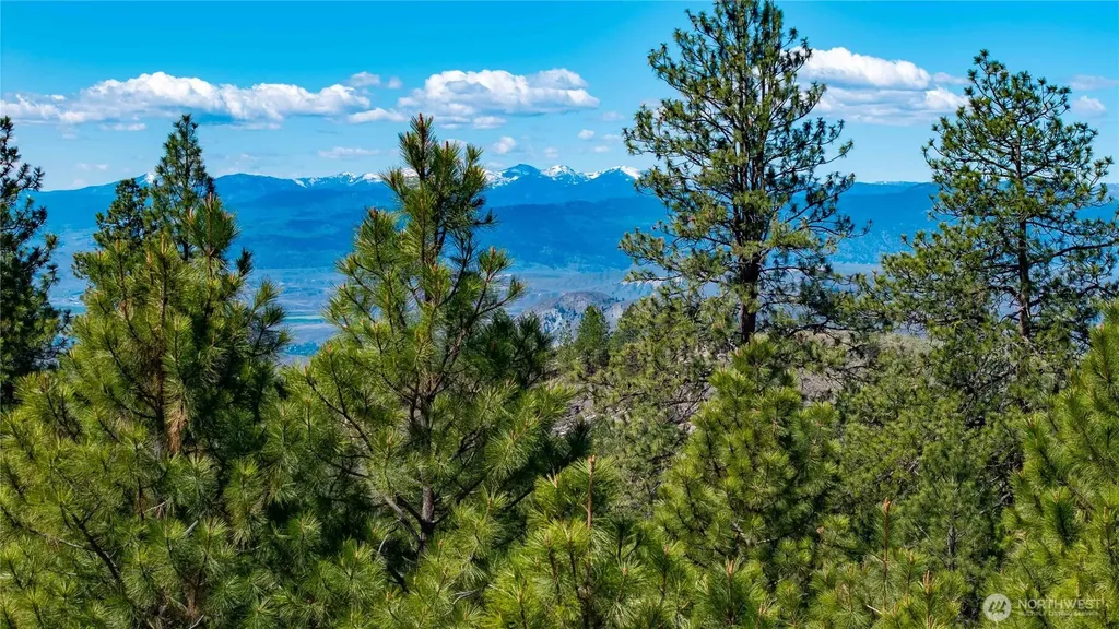 23 Razor Road Tonasket WA 98855