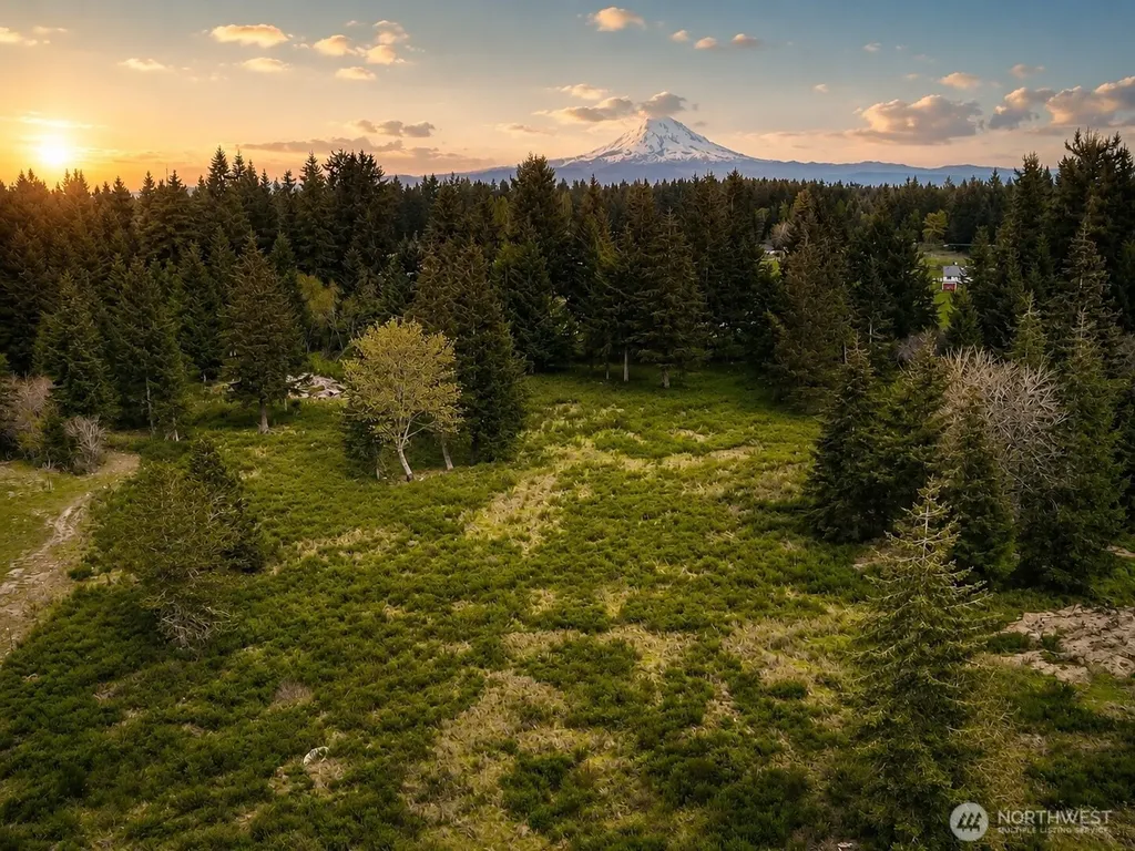 14543 Lindsay Loop SE Yelm WA 98597