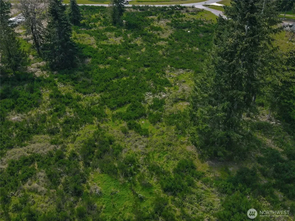 14543 Lindsay Loop SE Yelm WA 98597
