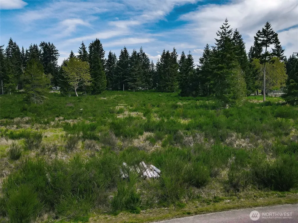 14543 Lindsay Loop SE Yelm WA 98597