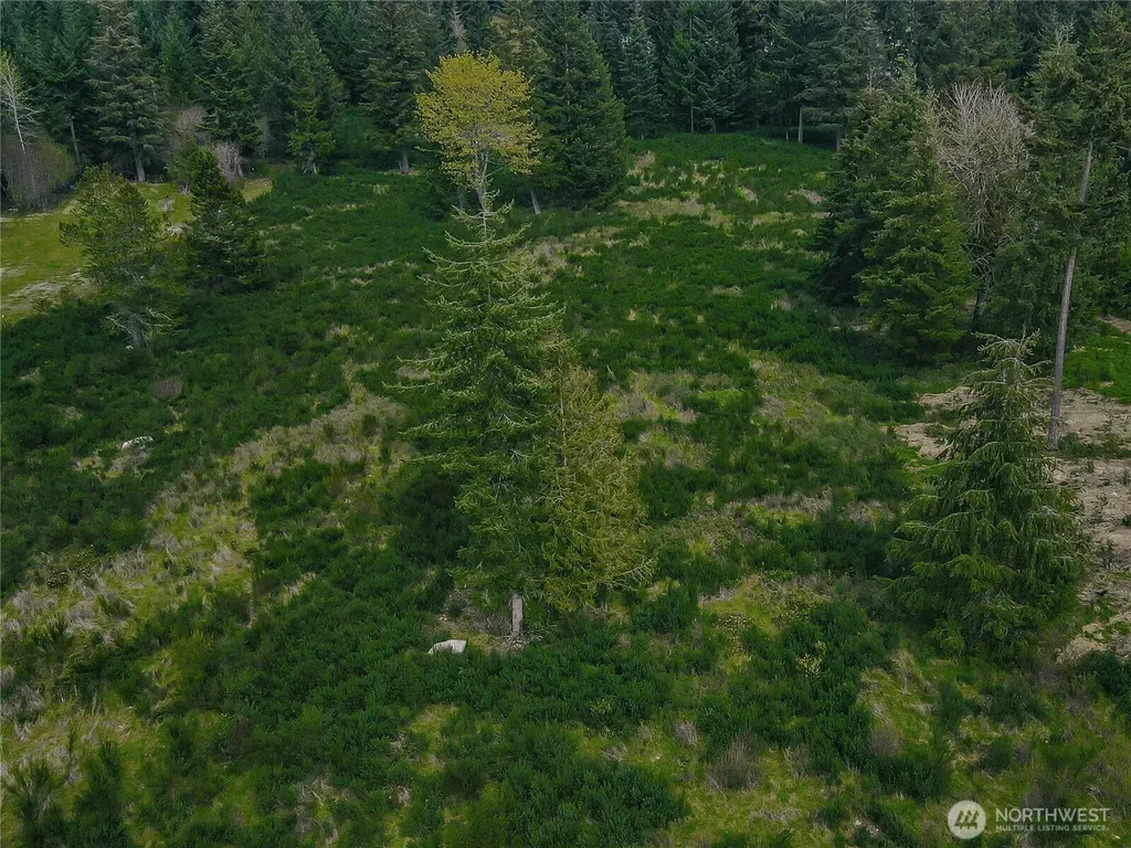 14543 Lindsay Loop SE Yelm WA 98597