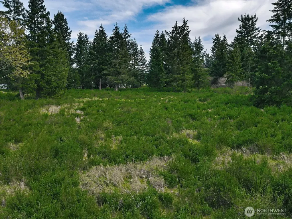 14543 Lindsay Loop SE Yelm WA 98597