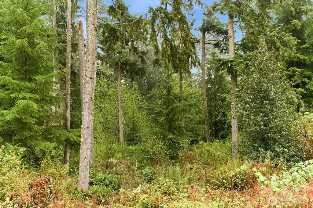 6557 Cultus Bay Road Clinton WA 98236