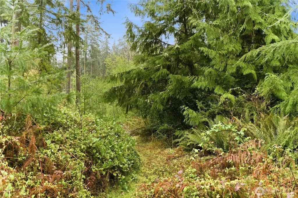 6557 Cultus Bay Road Clinton WA 98236