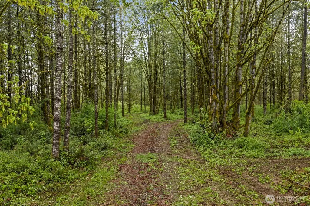 0 Xxx Hwy 12 (Lot 1) Ethel WA 98542