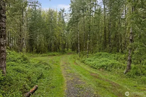 0 Xxx Hwy 12 (Lot 1) Ethel WA 98542