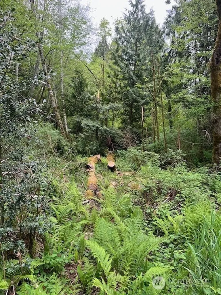 14500 Park Dr SE Port Orchard WA 98367