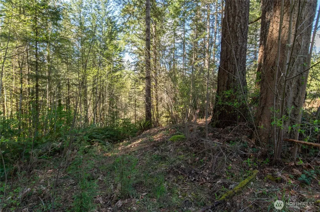 0 NE Mission Creek Road Belfair WA 98528