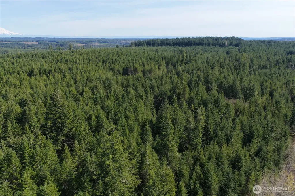 0 Romance Hill Road Belfair WA 98528