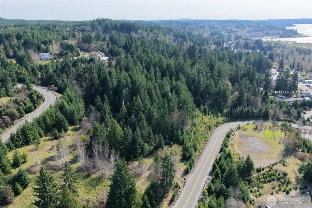 0 Romance Hill Road Belfair WA 98528