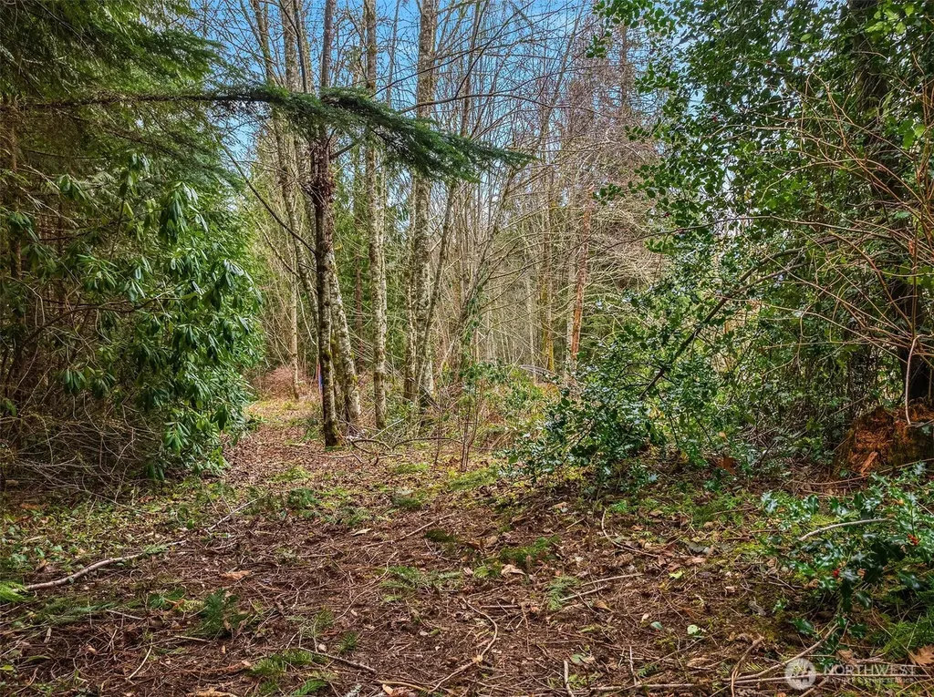 16 SE 259th Avenue Issaquah WA 98027