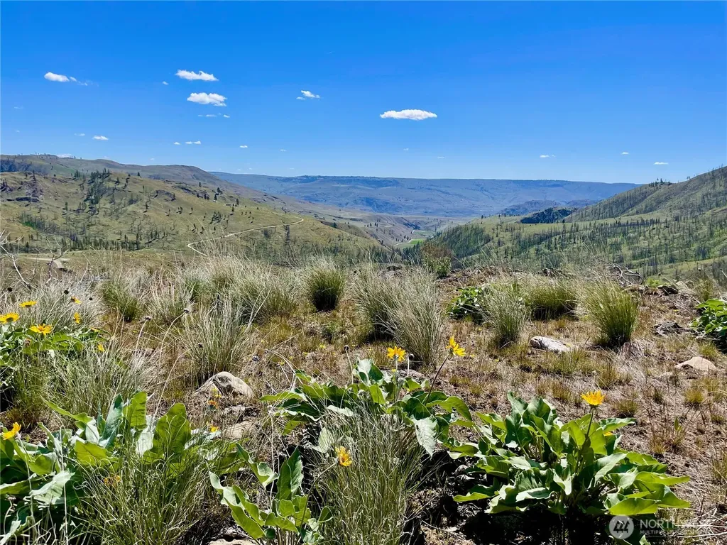 436 Antoine Creek Road Chelan WA 98816
