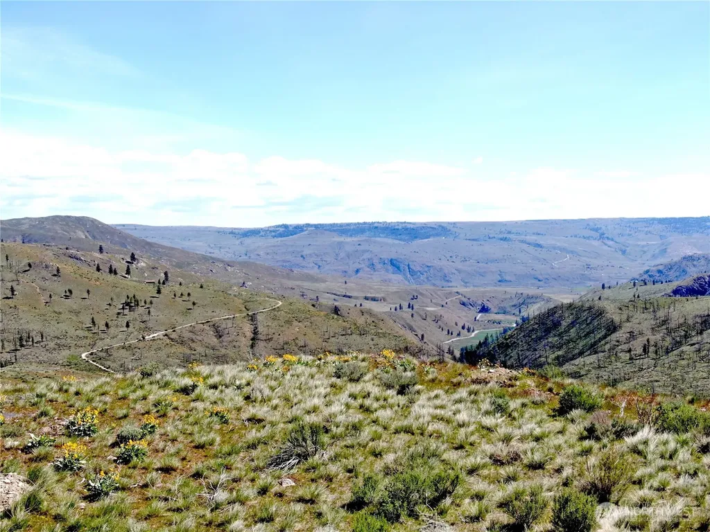 436 Antoine Creek Road Chelan WA 98816