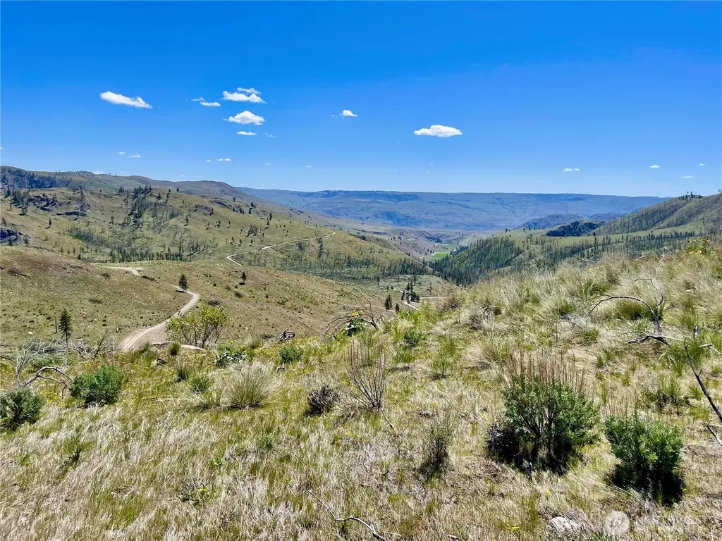436 Antoine Creek Road Chelan WA 98816