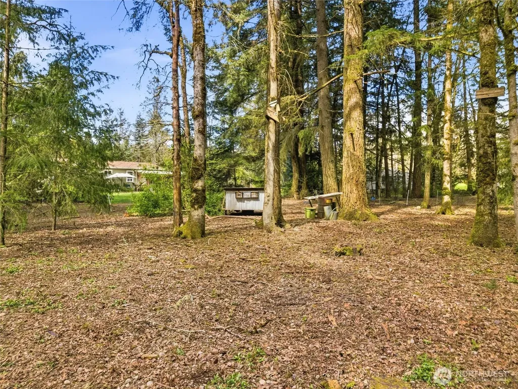 17710 Mima Acres Drive SE Tenino WA 98589