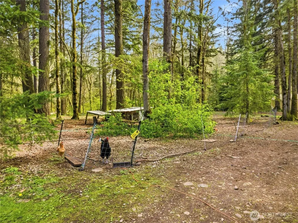 17710 Mima Acres Drive SE Tenino WA 98589