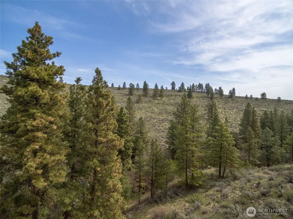 107 Wild Turkey Road East Wenatchee WA 98802