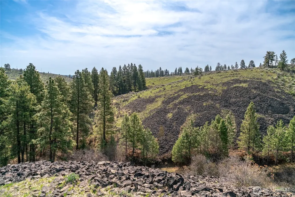 107 Wild Turkey Road East Wenatchee WA 98802