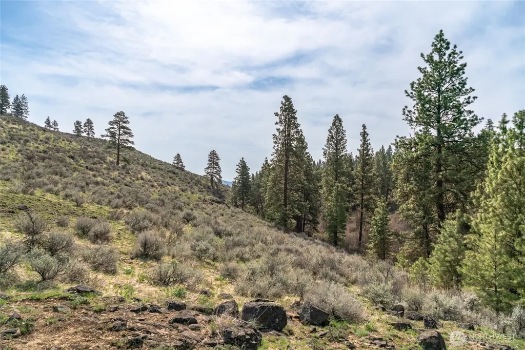 107 Wild Turkey Road East Wenatchee WA 98802