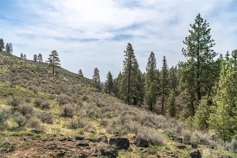 107 Wild Turkey Road East Wenatchee WA 98802